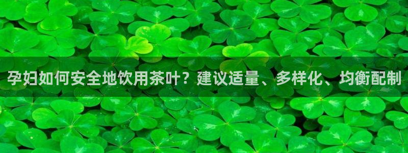 金年会官