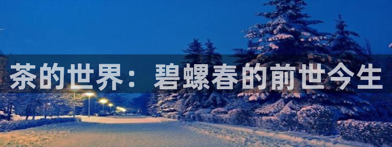 2022金年会