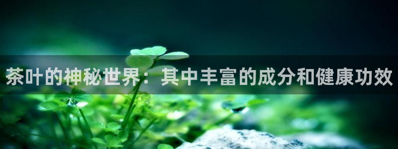 金年会官网