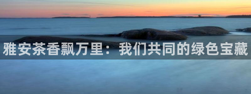 金年会能提款吗