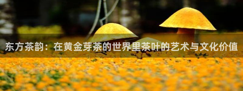 金立年会