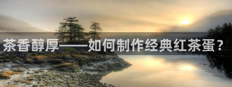 金年会APP安装下载