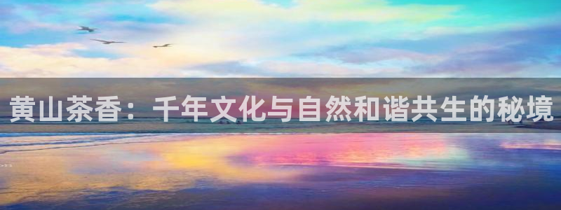 金立年会