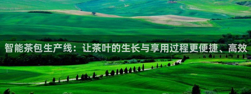 金年会入口