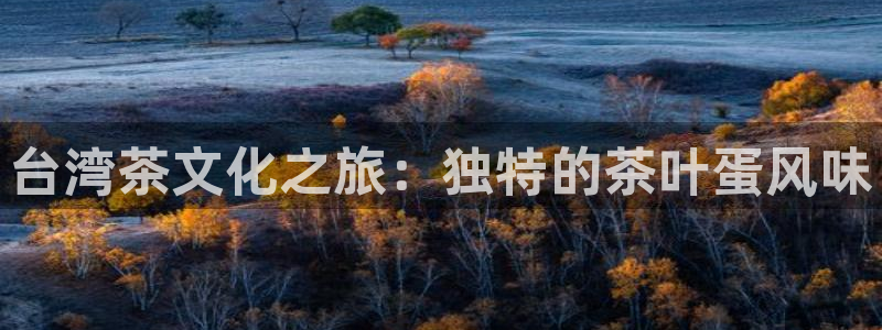 金年会开户