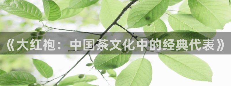 金年会澳门6766