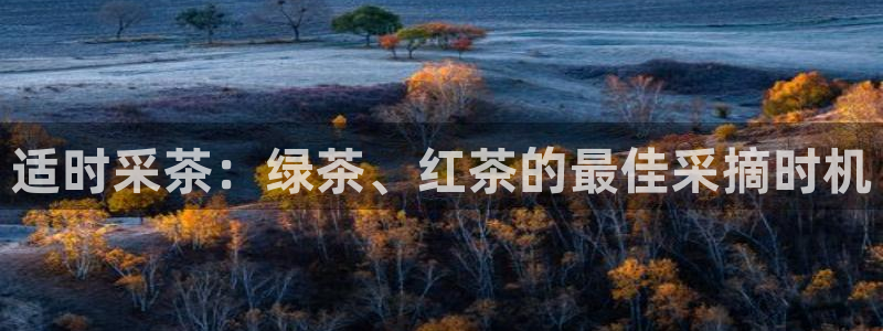 金年会是正规的吗