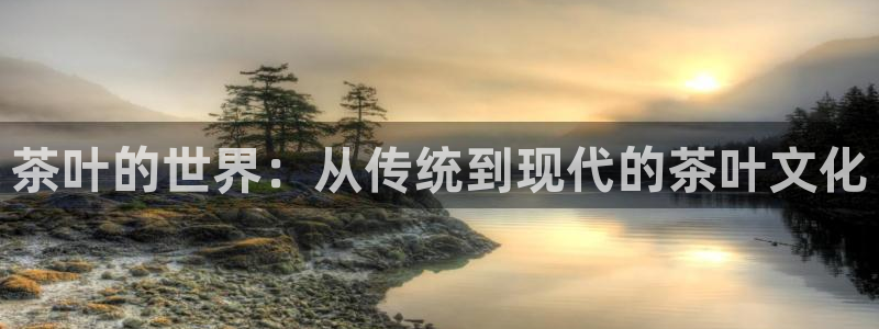 金年会官方在线登录