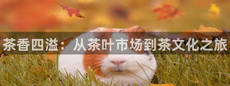 金年会和万博