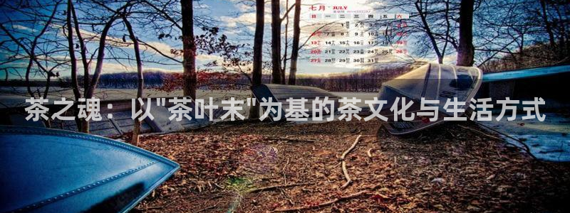 金年会能提款吗