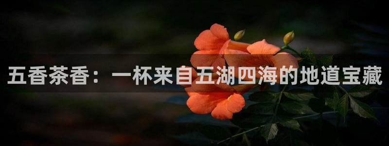 金年会退款