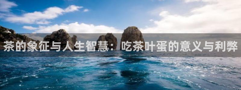 金年会官方入口
