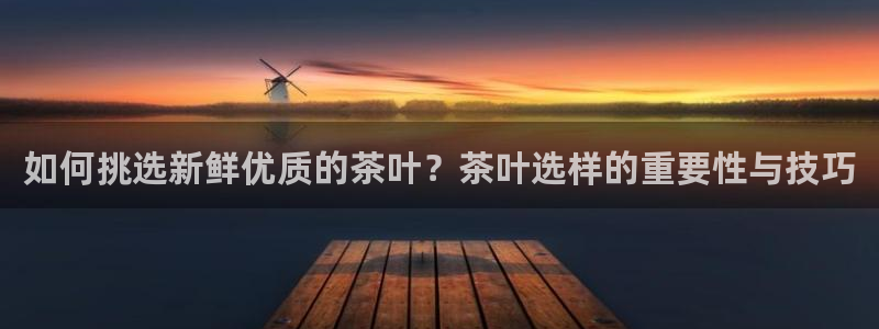 今年会金年会