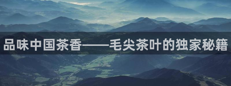 金年会体育官方网站