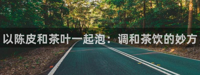 金诚集团年会