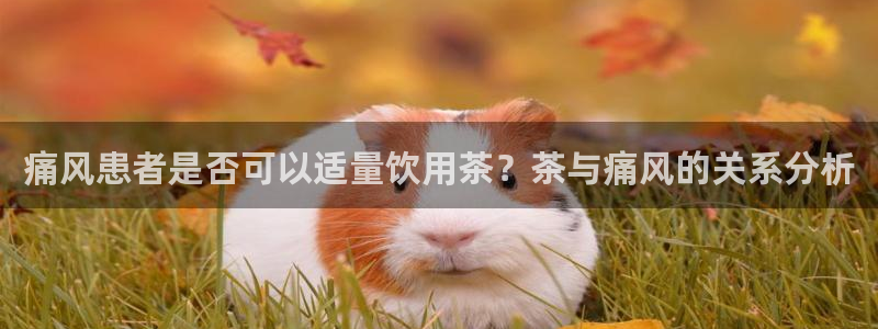 金年会娱乐app