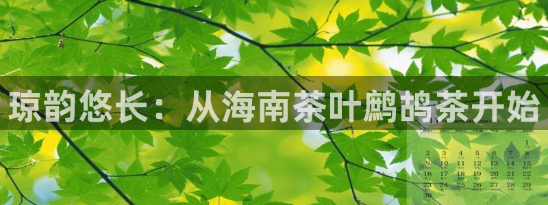 金年会网页登录