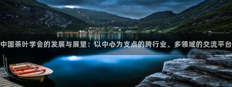 金年会黑平台