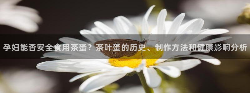 金年会体育娱乐