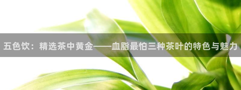 金齿科年会