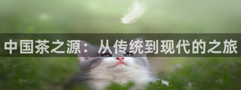 金年会网页