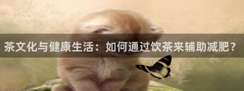 金年会手机版