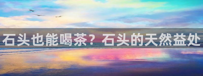 金年会金年华