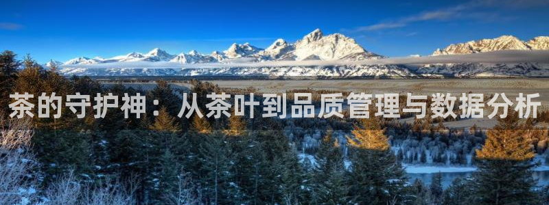 金年会网登录平台入口