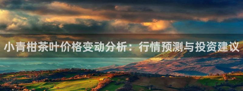金实年会