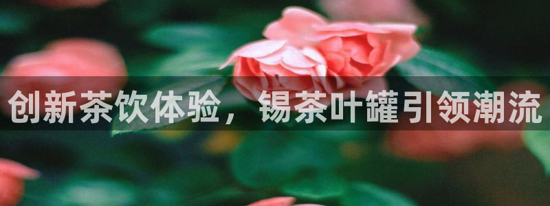 年会金
