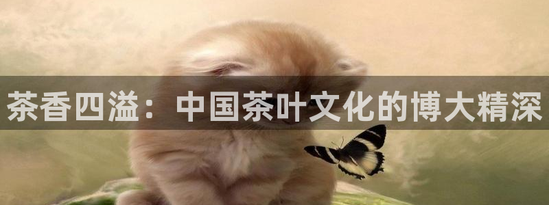 今年会金年会