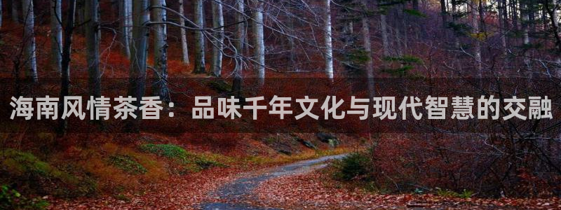 金帆年会2019