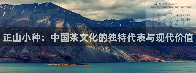 金年会娱乐下载app