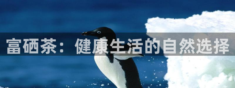 金年会金年会