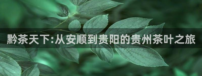 金年会APP安装下载