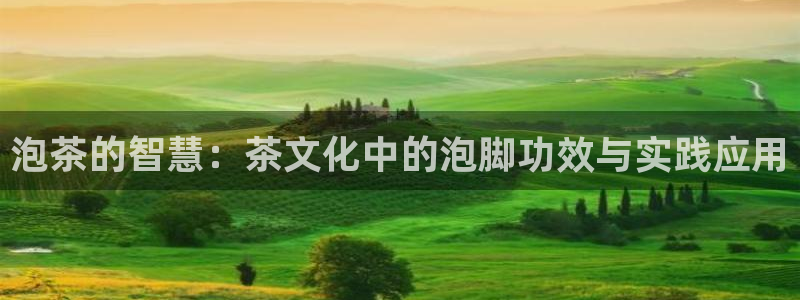 金 金年会