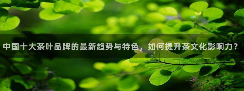 金汉江年会