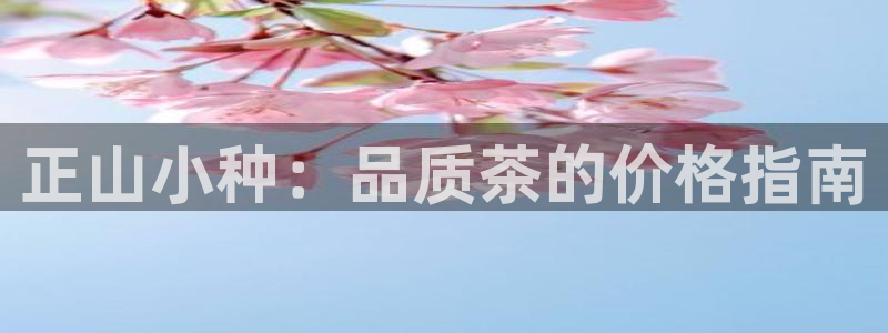 金年会.cc