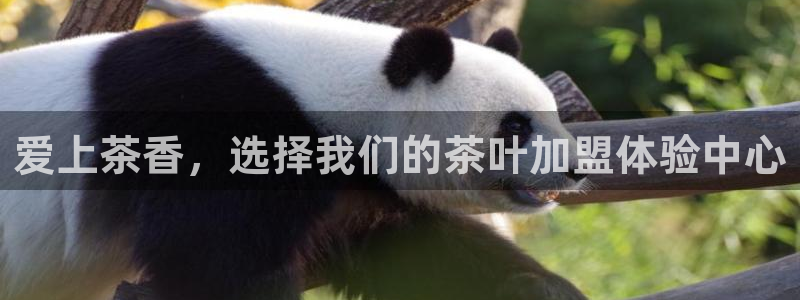 金年会下载