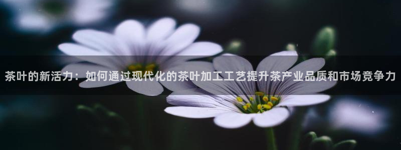 金年会电子