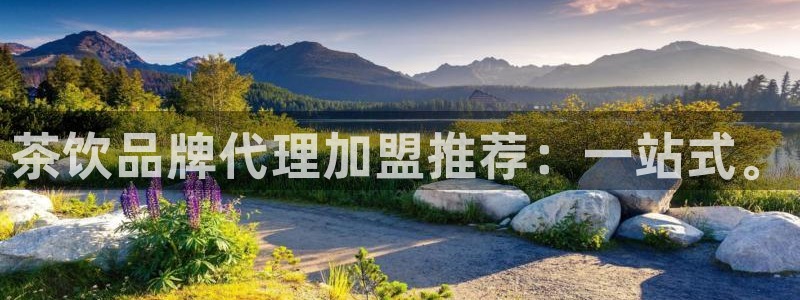 金年会体育在线登录