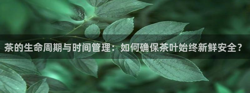 金年会手机网页版登录