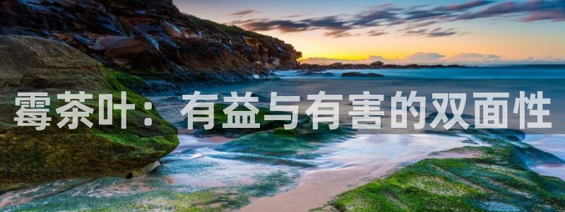 金年会体育平台官网