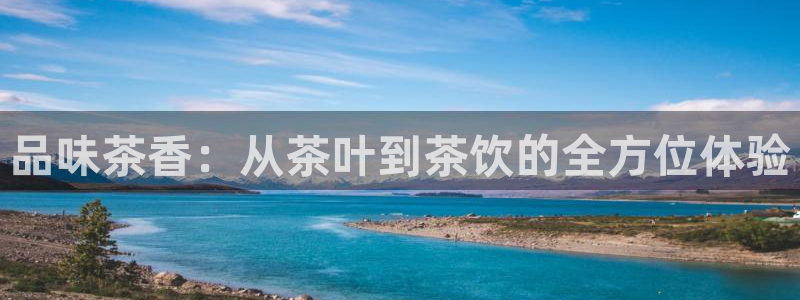 金年会投注官网