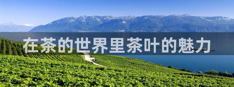 金年会官网app下载