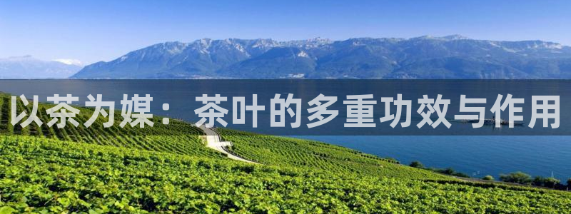 金年会官方网站下载