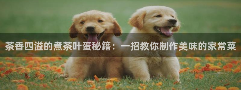 金年会体育金年会官网