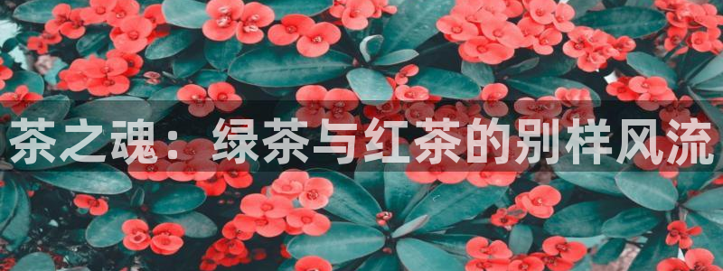 金年会平台游戏