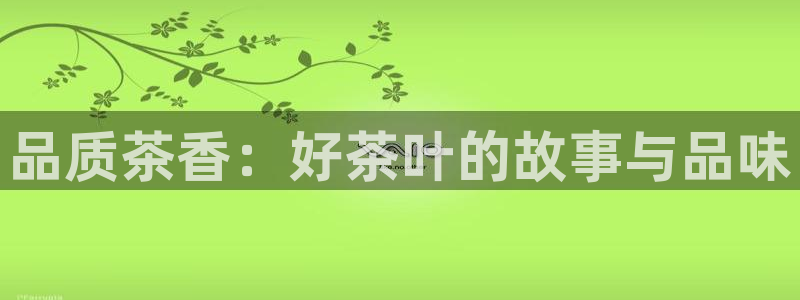 澳门金年会棋牌