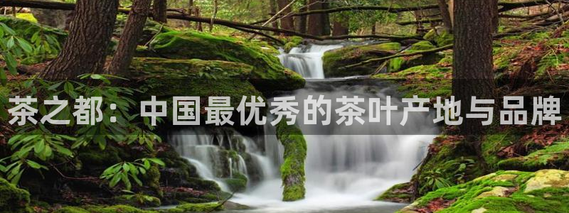 金年会体育官方